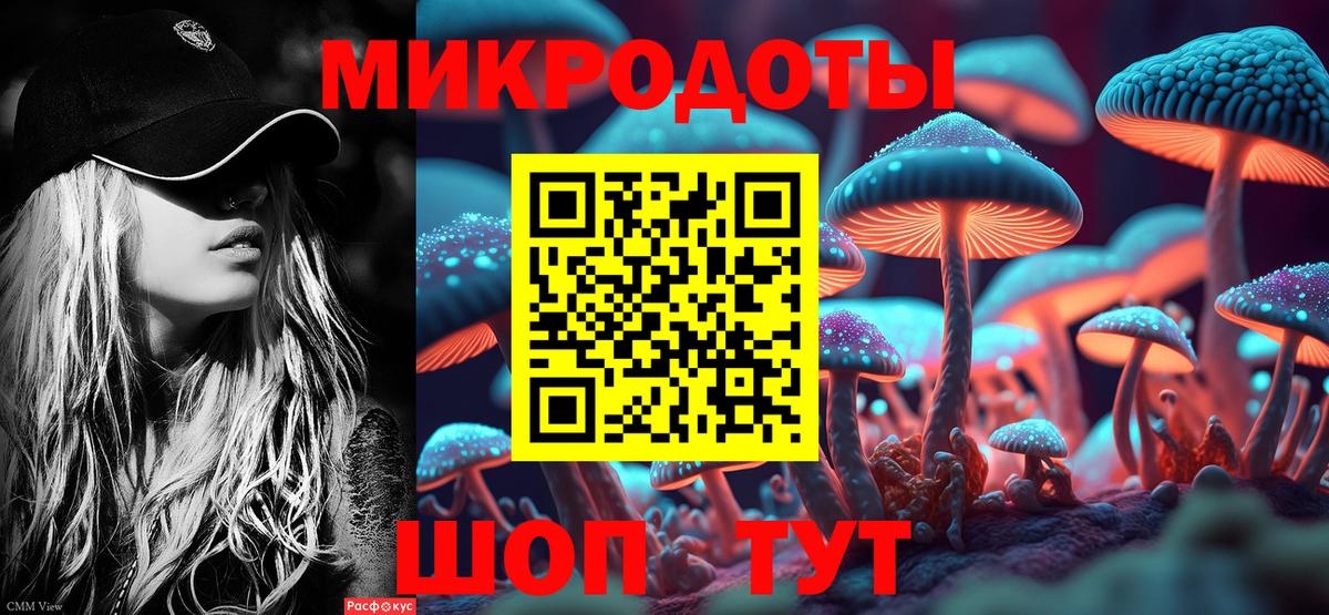 Псилоцибиновые грибы Psilocybine cubensis Магнитогорск