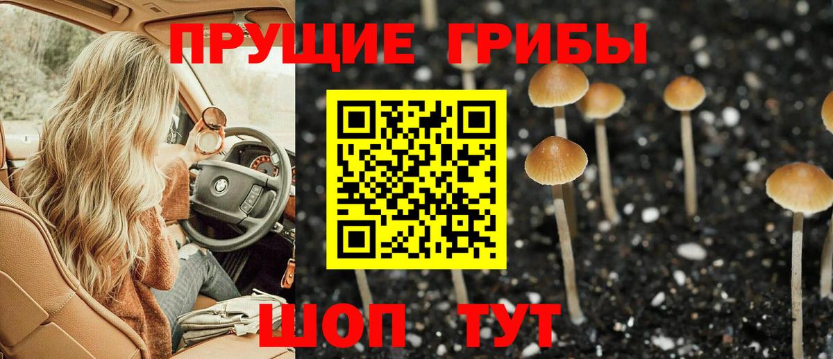 Псилоцибиновые грибы GOLDEN TEACHER  Вход с VPN  Магнитогорск 